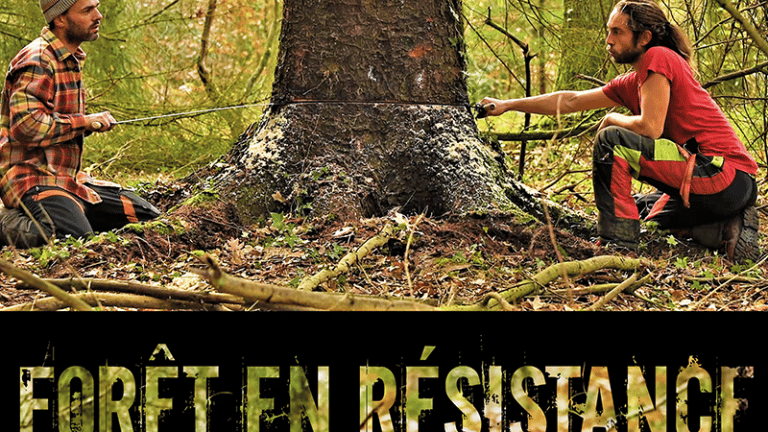 [Projection] Forêt en résistance
