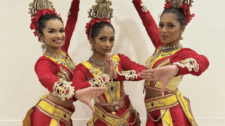 [Spectacle] Danse Bollywood