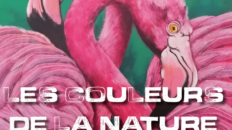 [Expo] Les couleurs de la nature