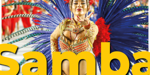 [Stage] La samba s’invite à Bessie