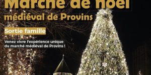 [Sortie] Marché de Noël de Provins