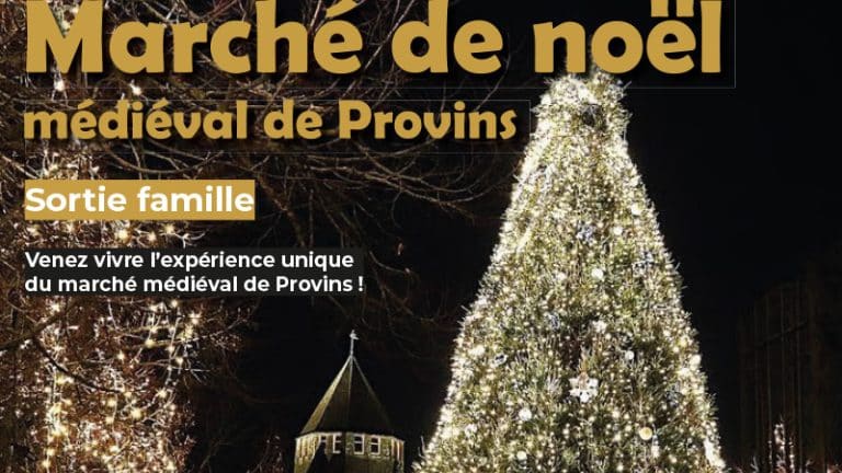 [Sortie] Marché de Noël de Provins