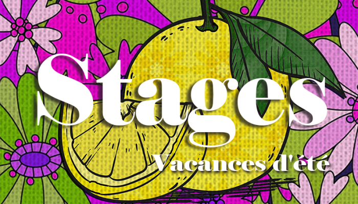 stage vacance ete